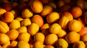 Confiture abricot : succes garanti a chaque preparation